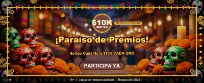 VIP Gaming Experience